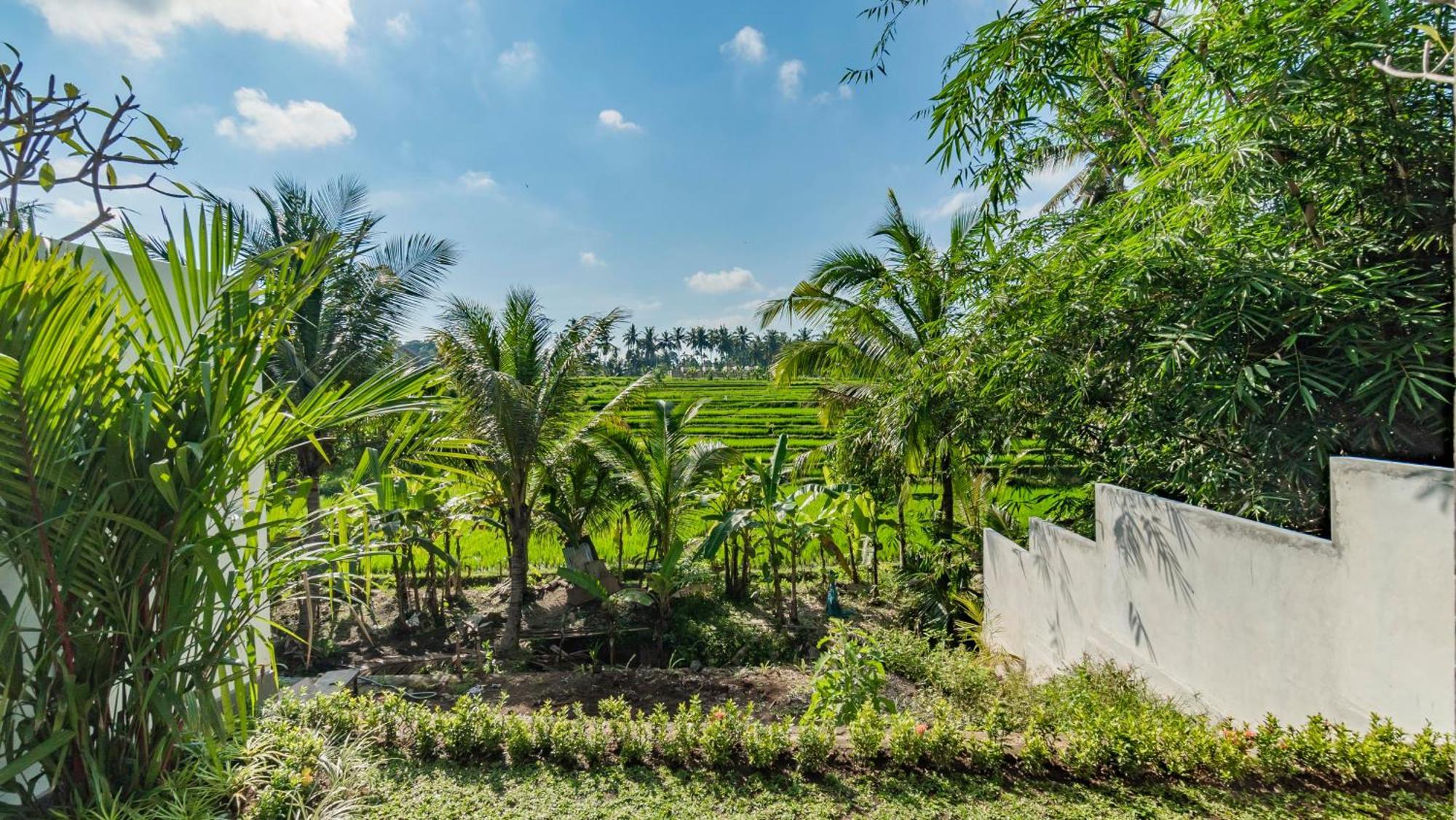 Padi Luwih Ubud Exterior foto
