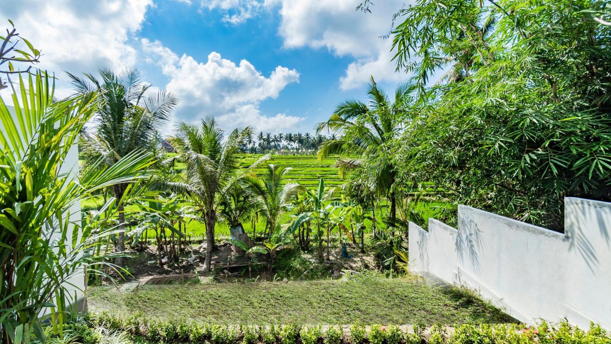 Padi Luwih Ubud Exterior foto